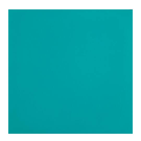 Shop For The Oracal 631 Exhibition Cal Vinyl At Michaels